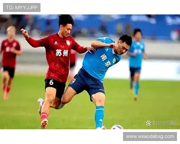 南京足球队实力对比深度解析与未来发展趋势展望