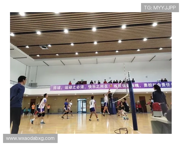 排球心理素质评比结果揭晓上海排球队荣获第三名殊荣