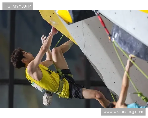 杭州攀岩队如何通过比赛经验变革提升竞技水平与团队协作能力