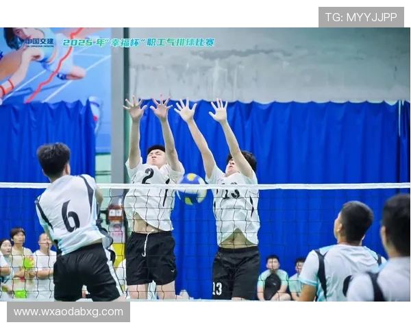 杭州排球队成长之路：一段不平凡的排球纪实故事