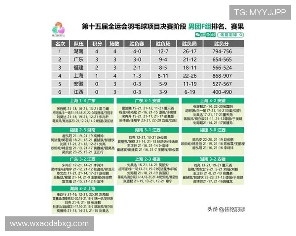 深入解析杭州排球队近期状态及其相互对比分析