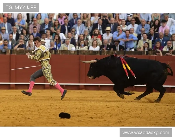 93公牛与98公牛的巅峰对决谁才是历史最佳球队的真正代表