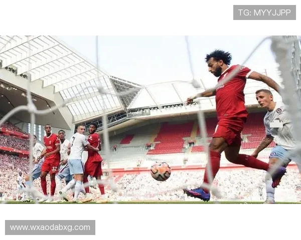 探寻索博斯洛伊的历史魅力与文化传承之旅