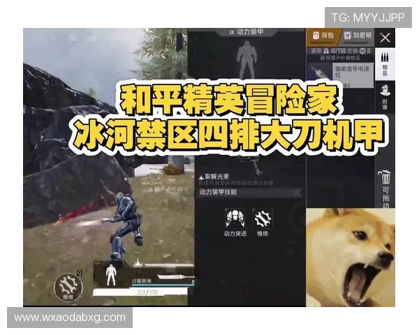 和平精英新手必看攻略轻松上手的节奏与技巧指南