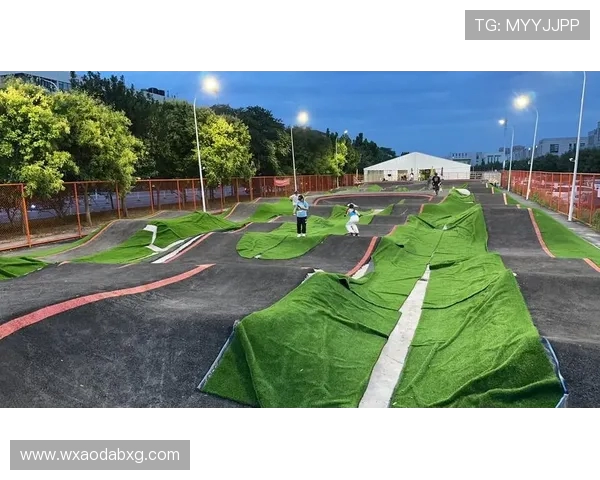 杨磊独家分享滑板心得与技巧助你轻松掌握滑板运动的乐趣与挑战