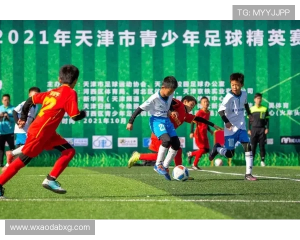 杭州羽毛球队精英赛之路：从默默无闻到荣耀绽放的成长历程